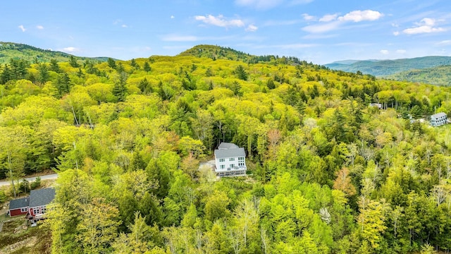drone / aerial view with a mountain view and a view of trees