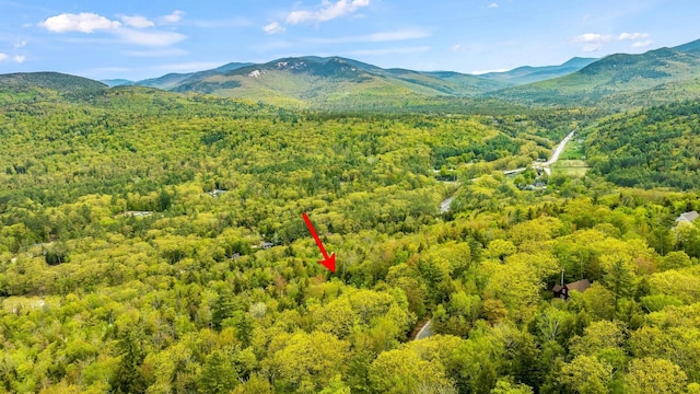 bird's eye view with a forest view and a mountain view