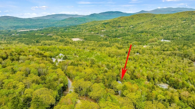 aerial view with a forest view and a mountain view