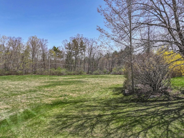 390 Bear Hill Rd, Loudon, NH 03307 - view of yard featuring a wooded view