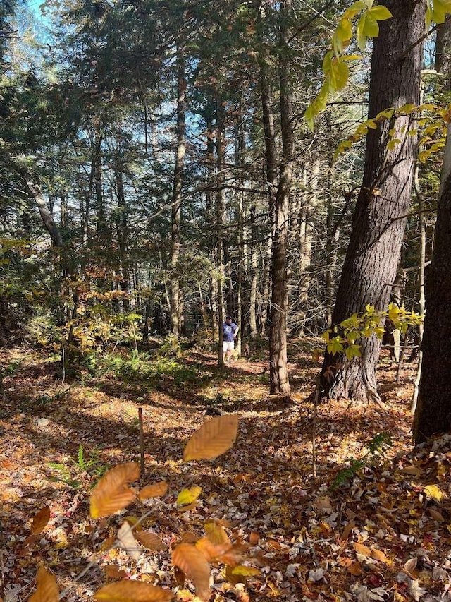 LOT2 Laurel Ln, Wilmot, NH 03287