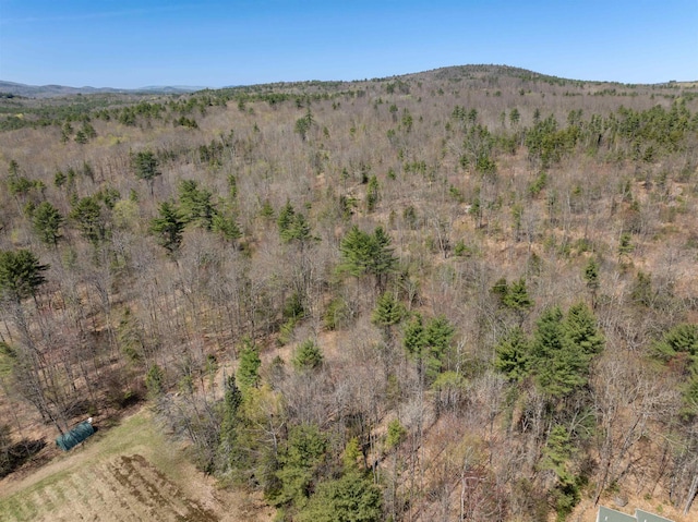 93 Roller Coaster Rd, Laconia, NH 03246 - bird's eye view of a mountain backdrop