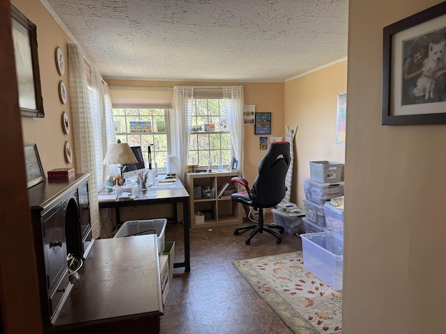 60 Effingham Rd, Ossipee, NH 03864 - office featuring crown molding, dark floors, and a textured ceiling