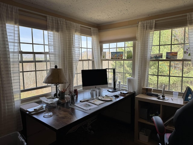 60 Effingham Rd, Ossipee, NH 03864 - office space with ornamental molding
