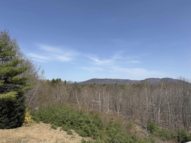 60 Effingham Rd, Ossipee, NH 03864 - mountain view