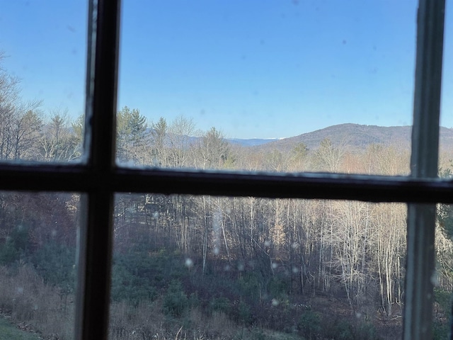 60 Effingham Rd, Ossipee, NH 03864 - detailed view