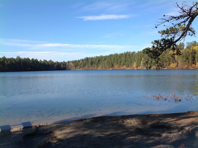 60 Effingham Rd, Ossipee, NH 03864 - water view with a forest