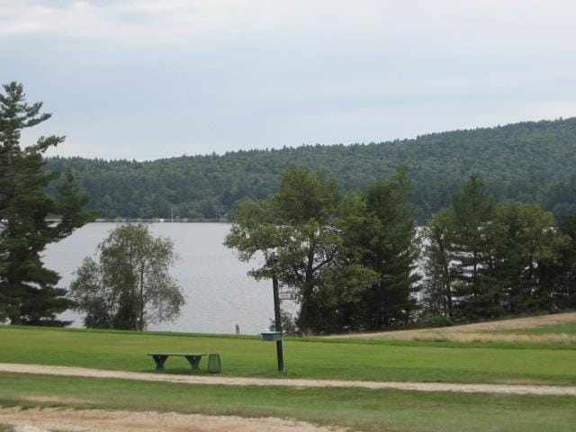 60 Effingham Rd, Ossipee, NH 03864 - view of property's community featuring a wooded view, a water view, and a lawn