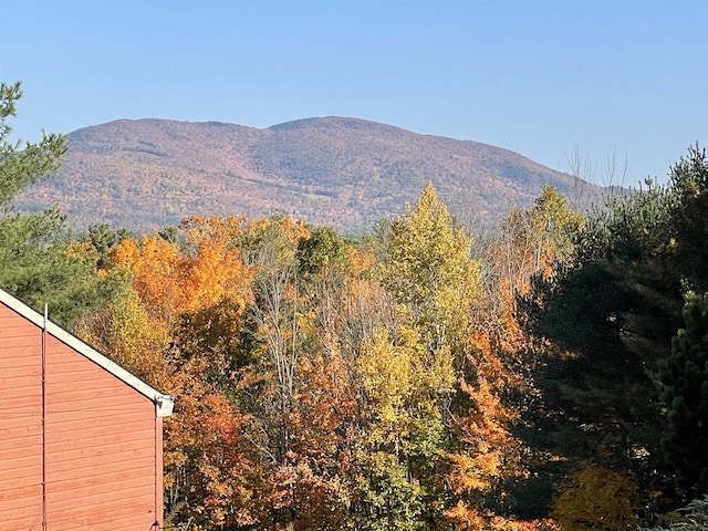 60 Effingham Rd, Ossipee, NH 03864 - view of mountain backdrop featuring a heavily wooded area