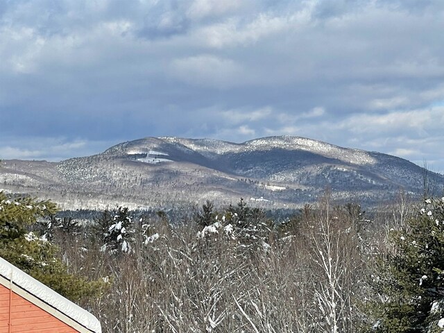 60 Effingham Rd, Ossipee, NH 03864 - view of mountain background