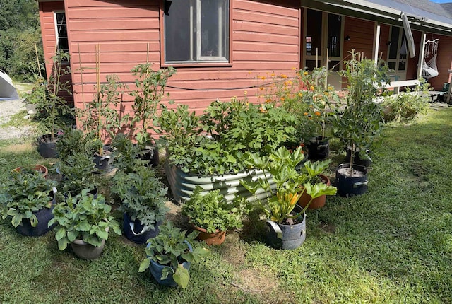 60 Effingham Rd, Ossipee, NH 03864 - view of home's exterior with a lawn and a vegetable garden