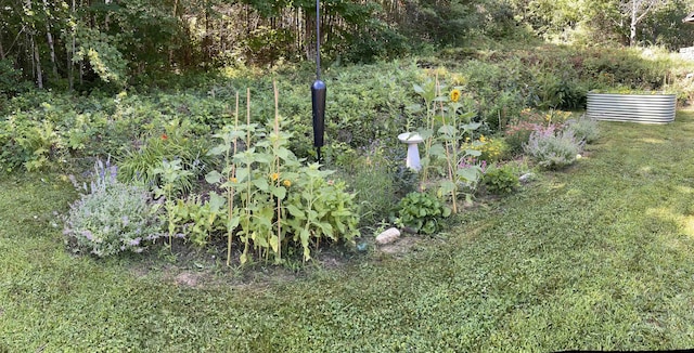 60 Effingham Rd, Ossipee, NH 03864 - view of yard featuring a garden