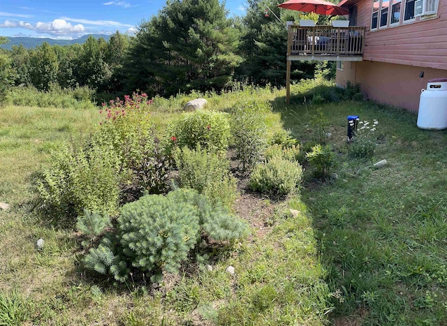 60 Effingham Rd, Ossipee, NH 03864 - view of yard featuring a deck