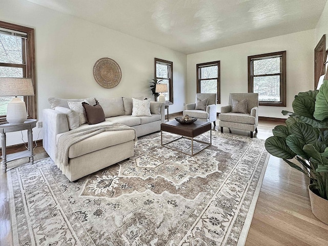 living area featuring wood finished floors and baseboards