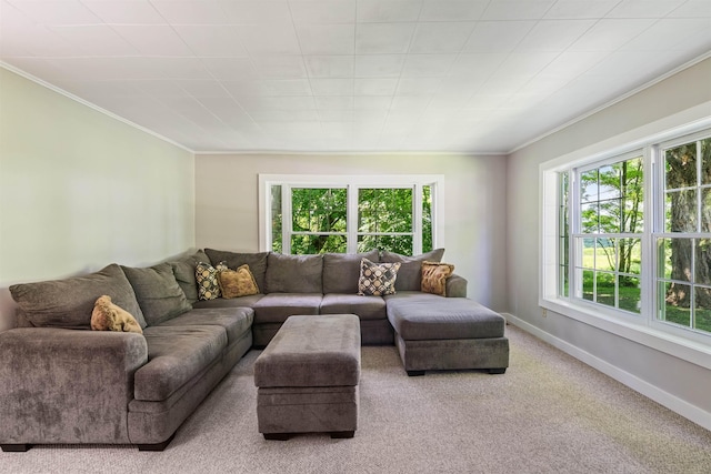 carpeted living room with healthy amount of natural light, ornamental molding, and baseboards