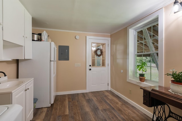 kitchen featuring a sink, freestanding refrigerator, electric panel, white cabinetry, and dark wood-style flooring
