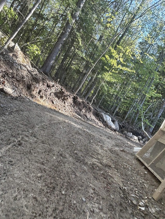 29 Igls Ln, Conway, NH 03818 - view of nature