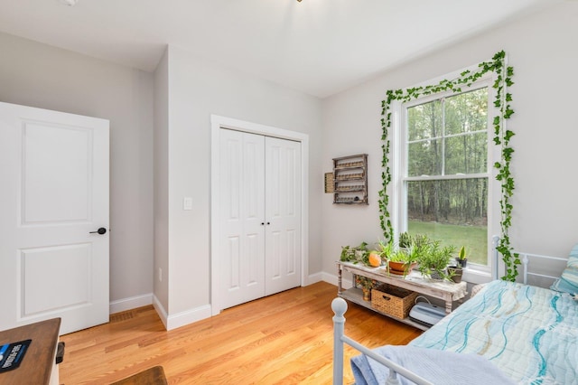 11 Carriage Hill Rd, Wilton, NH 03086 - sitting room featuring light wood-type flooring and baseboards