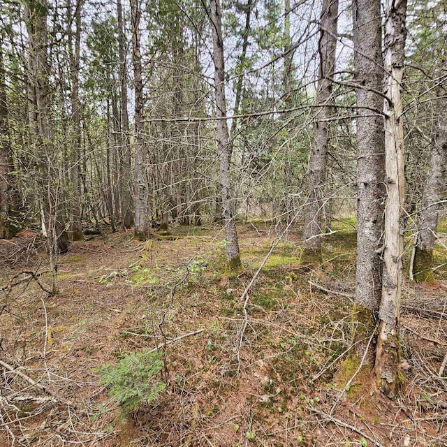 3839 US Route 5, Sutton, VT 05867