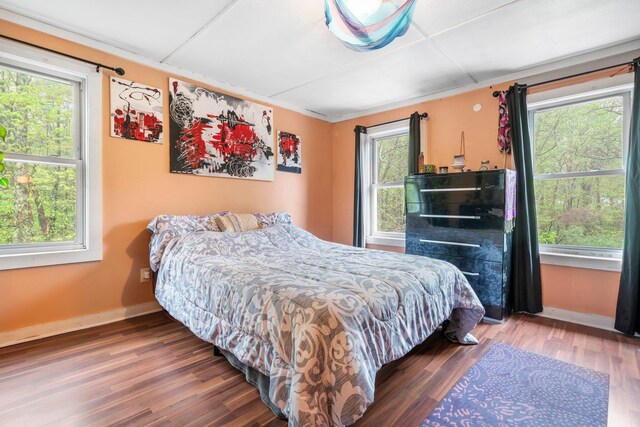 28 Putnam Hill Rd, Lyndeborough, NH 03082 - bedroom featuring baseboards, wood finished floors, and ornamental molding