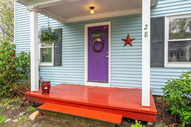 28 Putnam Hill Rd, Lyndeborough, NH 03082 - view of doorway to property