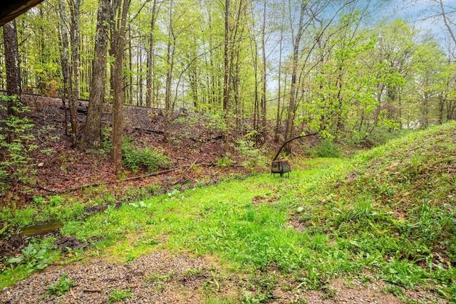 28 Putnam Hill Rd, Lyndeborough, NH 03082 - view of yard