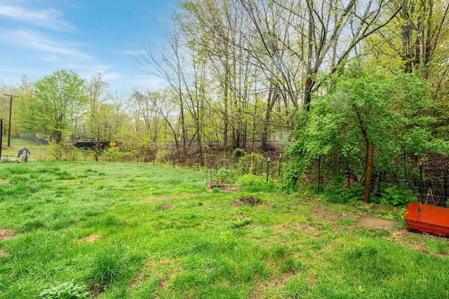 28 Putnam Hill Rd, Lyndeborough, NH 03082 - view of yard