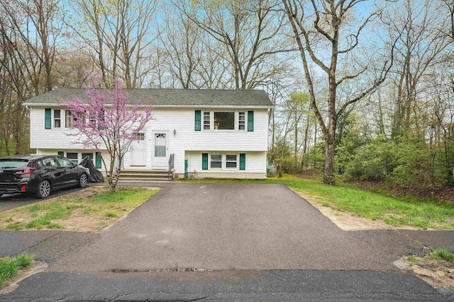 raised ranch featuring driveway