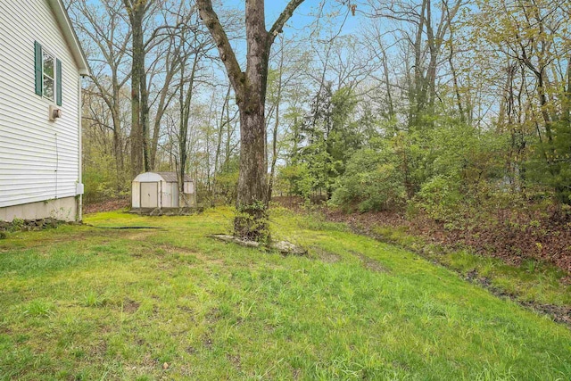 view of grassy yard with a shed and an outdoor structure