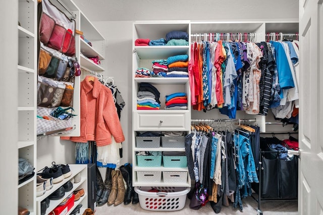 38 Farmington Rd, Nashua, NH 03060 - view of walk in closet