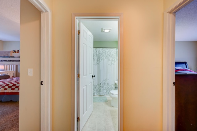 45 Haynesville Ave Unit 3, Conway, NH 03818 - hall featuring carpet
