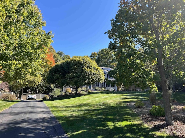 surrounding community featuring a yard