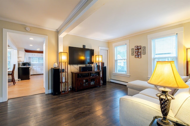 living area with a baseboard radiator, crown molding, and dark wood finished floors