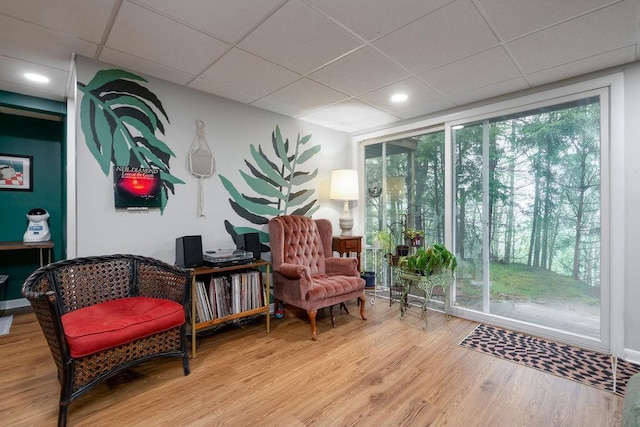 113 Watchtower Rd, Hopkinton, NH 03229 - living area featuring a paneled ceiling, wood finished floors, and recessed lighting