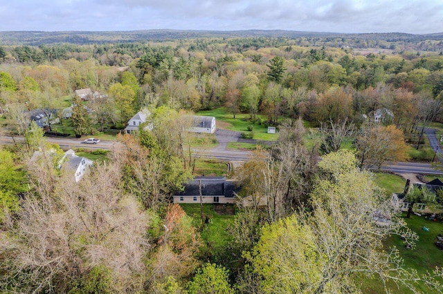 drone / aerial view of a forest