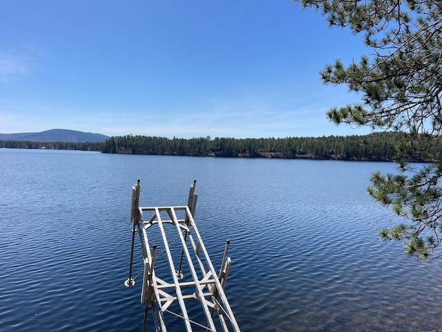 dock with a water and mountain view and a view of trees