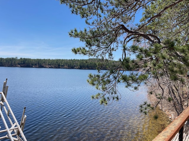 water view with a dock and a heavily wooded area