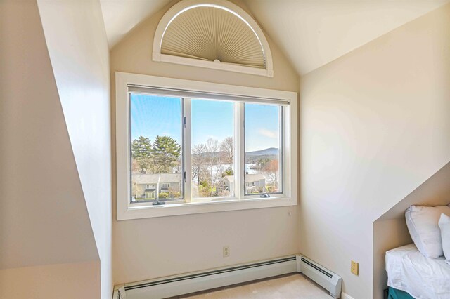 detailed view of baseboard heating