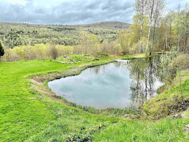 water view featuring a heavily wooded area
