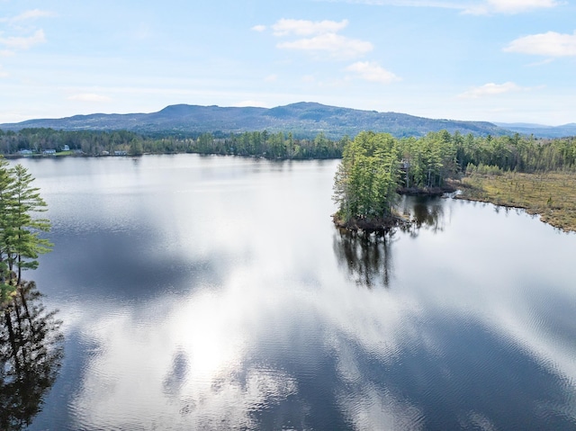 water view featuring a mountain backdrop and a heavily wooded area