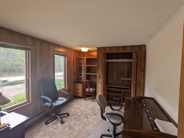 carpeted office featuring a textured ceiling and wooden walls