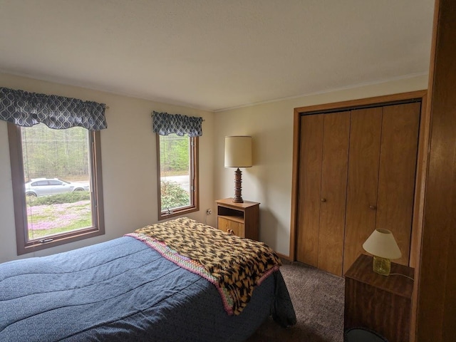 bedroom featuring carpet and a closet