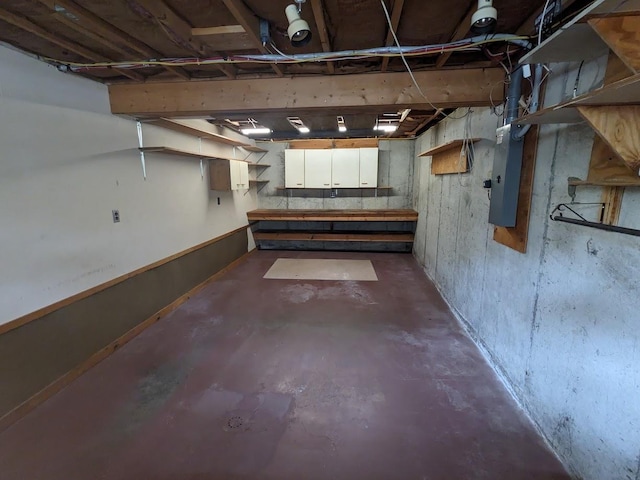 unfinished below grade area with electric panel