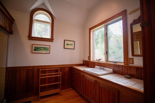 bathroom featuring a sink, lofted ceiling, wood finished floors, and wainscoting