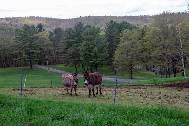 view of community featuring a forest view, a view of countryside, and fence