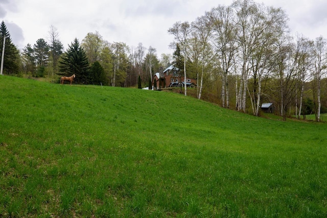 view of green lawn