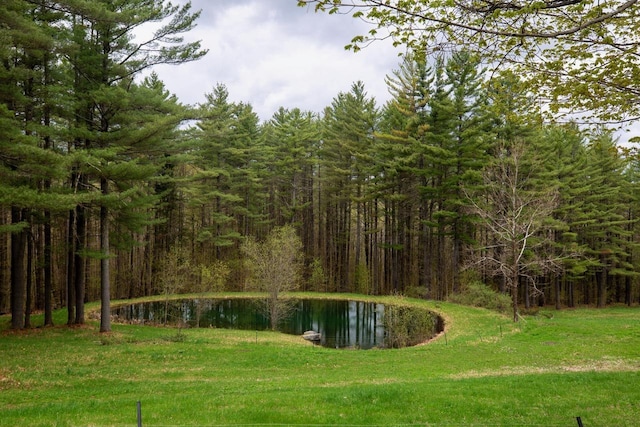 surrounding community featuring a wooded view, a lawn, and a water view