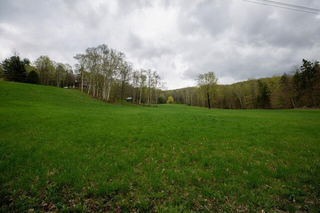 view of green lawn with a wooded view and a view of rural / pastoral area