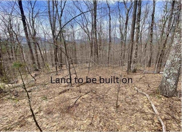 view of undeveloped land