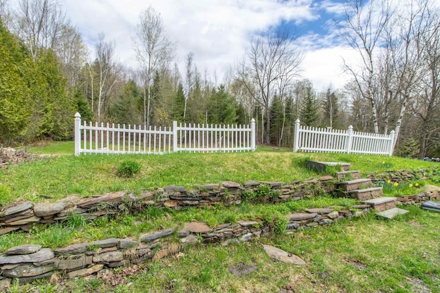 7206 S Wheelock Rd, Wheelock, VT 05851 - view of yard
